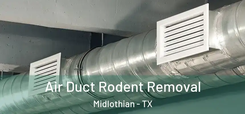  Air Duct Rodent Removal Midlothian - TX