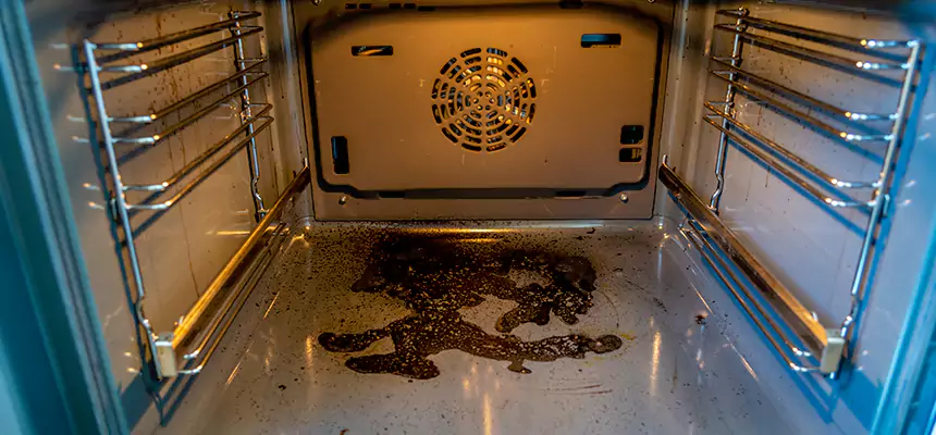 Our Dryer Vent Mold Cleaning Services in Midlothian, TX