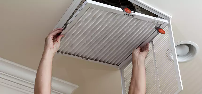 Our Insect Removal from Air Ducts Services in Midlothian, TX