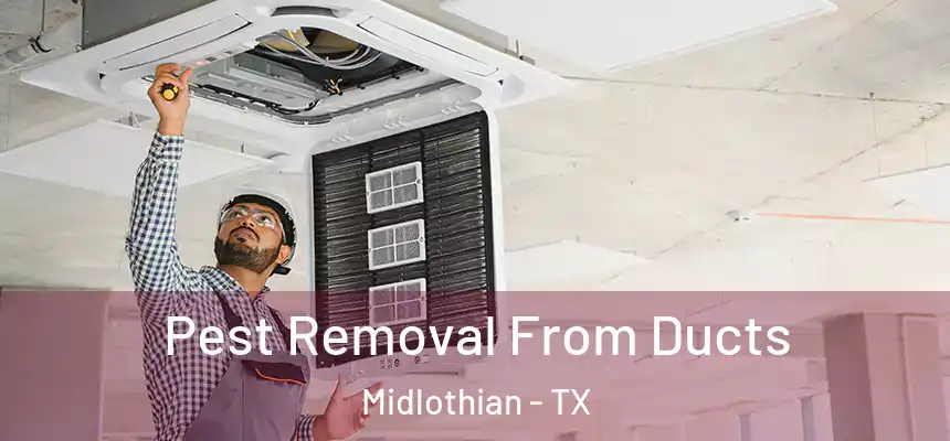  Pest Removal From Ducts Midlothian - TX