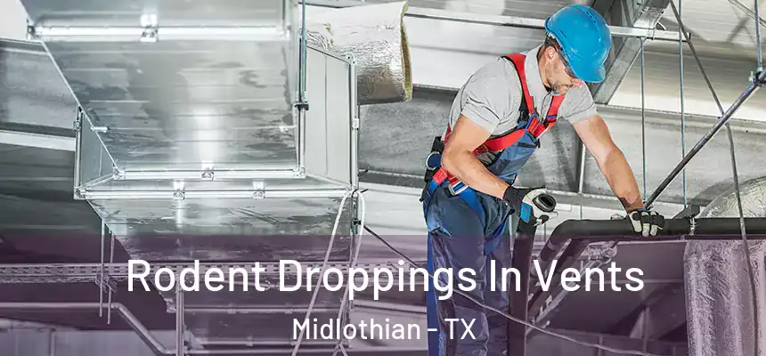  Rodent Droppings In Vents Midlothian - TX