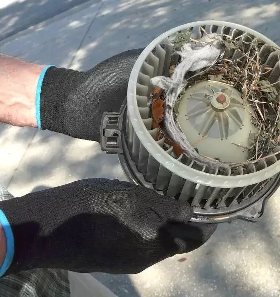 About Air Duct Rat Removal in Midlothian, TX