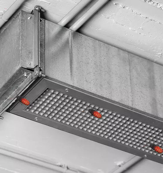 Affordable Insect Removal from Air Ducts in Midlothian, TX