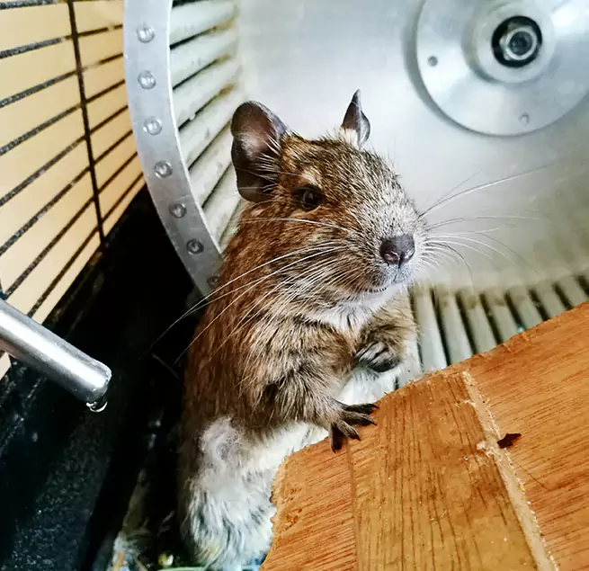 Why Homeowners & Businesses Trust Us Midlothian, TX